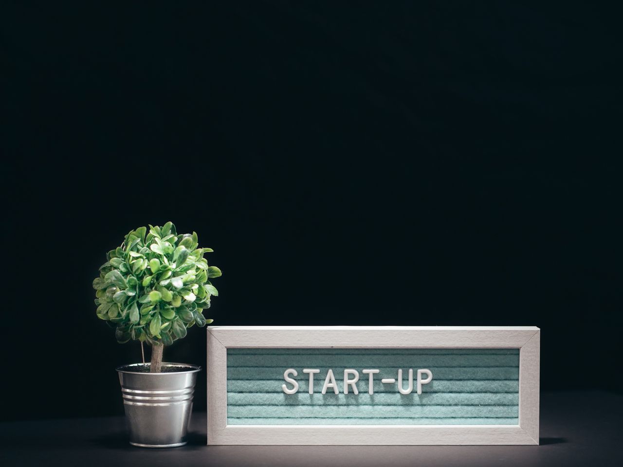 services-02 A modern close-up of a start-up theme with a potted plant and text board on a black background.